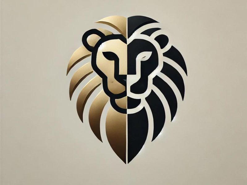 Black Lion Auto Detailing