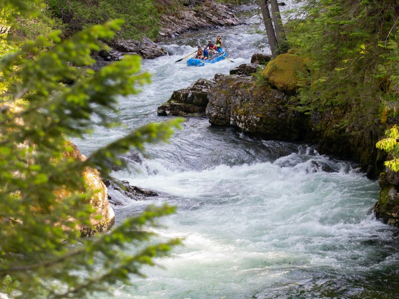 Crab Apple Whitewater