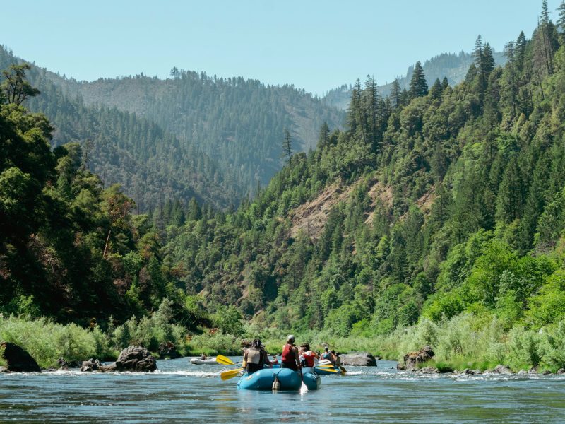 Crab Apple Whitewater